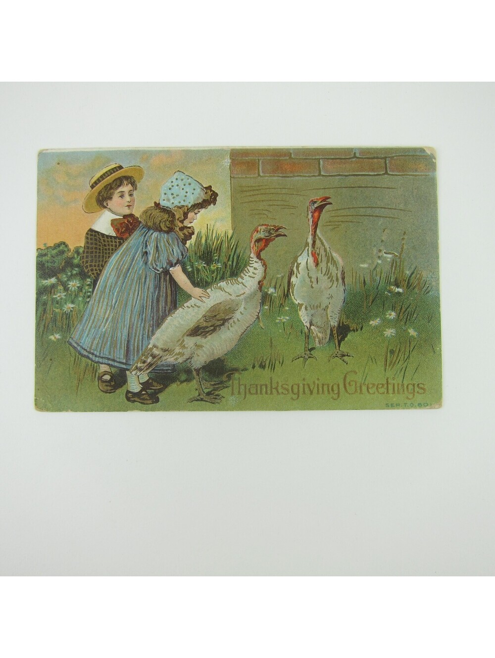 Thanksgiving Postcard Boy & Girl Pets Wild Turkeys Embossed Antique